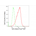 LifeSab™ KD-Validated QKI Rabbit mAb (20 μl)