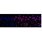 LifeSab™ KD-Validated QKI Rabbit mAb (20 μl)