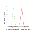 LifeSab™ KD-Validated RAD51 Rabbit mAb (20 μl)