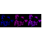 LifeSab™ KD-Validated RAD51 Rabbit mAb (20 μl)