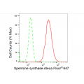 LifeSab™ KD-Validated SMS Rabbit mAb (20 μl)