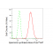 LifeSab™ KD-Validated SMS Rabbit mAb (20 μl)