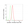 LifeSab™ KD-Validated STX16 Rabbit mAb (20 μl)