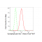 LifeSab™ KD-Validated SYPL1 Rabbit mAb (20 μl)