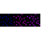 LifeSab™ KD-Validated SYPL1 Rabbit mAb (20 μl)