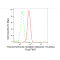 LifeSab™ KD-Validated TRIP10 Rabbit mAb (20 μl)