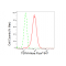 LifeSab™ KD-Validated TSFM Rabbit mAb (20 μl)