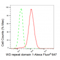 LifeSab™ KD-Validated WDR1 Rabbit mAb (20 μl)