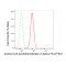 LifeSab™ KD-Validated ACAT2 Rabbit mAb (20 μl)