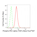 LifeSab™ KD-Validated Phospho-PKCA (T497) Rabbit mAb (20 μl)