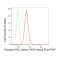 LifeSab™ KD-Validated Phospho-PKCA (T497) Rabbit mAb (20 μl)