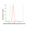 LifeSab™ KD-Validated RUNX1/RUNX2/RUNX3 Rabbit mAb (20 μl)