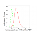 LifeSab™ KD-Validated HDAC1 Rabbit mAb (20 μl)