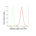 LifeSab™ KD-Validated HNRNPK Rabbit mAb (20 μl)