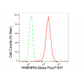 LifeSab™ KD-Validated HNRNPM Rabbit mAb (20 μl)