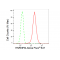 LifeSab™ KD-Validated HNRNPM Rabbit mAb (20 μl)