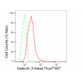 LifeSab™ KD-Validated GAL3 Rabbit mAb (20 μl)