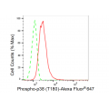 LifeSab™ KD-Validated Phospho-p38 (T180) Rabbit mAb (20 μl)