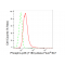 LifeSab™ KD-Validated Phospho-p38 (T180) Rabbit mAb (20 μl)