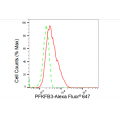 LifeSab™ KD-Validated PFKFB3 Rabbit mAb (20 μl)