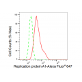 LifeSab™ KD-Validated RPA1 Rabbit mAb (20 μl)