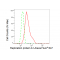 LifeSab™ KD-Validated RPA1 Rabbit mAb (20 μl)