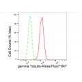 LifeSab™ KD-Validated TUBG1 Rabbit mAb (20 μl)