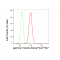 LifeSab™ KD-Validated TUBG1 Rabbit mAb (20 μl)