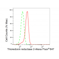 LifeSab™ KD-Validated TXNRD2 Rabbit mAb (20 μl)