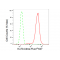 LifeSab™ KD-Validated Ku70 Rabbit mAb (20 μl)