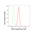 LifeSab™ KD-Validated YES1 Rabbit mAb (20 μl)