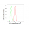 LifeSab™ KD-Validated YES1 Rabbit mAb (20 μl)