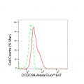 LifeSab™ KD-Validated CCDC98 Rabbit mAb (20 μl)