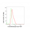 LifeSab™ KD-Validated CCDC98 Rabbit mAb (20 μl)