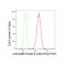 LifeSab™ KD-Validated AK4 Rabbit mAb (20 μl)