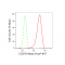 LifeSab™ KD-Validated CD276 Rabbit mAb (20 μl)