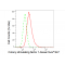 LifeSab™ KD-Validated CSF1 Rabbit mAb (20 μl)