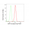 LifeSab™ KD-Validated DCP1A Rabbit mAb (20 μl)