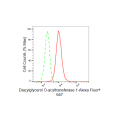 LifeSab™ KD-Validated DGAT1 Rabbit mAb (20 μl)