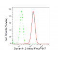 LifeSab™ KD-Validated DNM2 Rabbit mAb (20 μl)