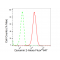 LifeSab™ KD-Validated DNM2 Rabbit mAb (20 μl)