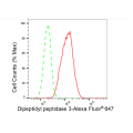 LifeSab™ KD-Validated DPP3 Rabbit mAb (20 μl)