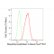 LifeSab™ KD-Validated DPP3 Rabbit mAb (20 μl)