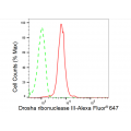 LifeSab™ KD-Validated DROSHA Rabbit mAb (20 μl)