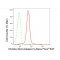 LifeSab™ KD-Validated DROSHA Rabbit mAb (20 μl)