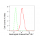 LifeSab™ KD-Validated DSG2 Rabbit mAb (20 μl)