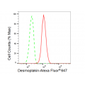 LifeSab™ KD-Validated DSP Rabbit mAb (20 μl)