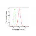 LifeSab™ KD-Validated DUT Rabbit mAb (20 μl)