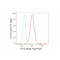 LifeSab™ KD-Validated DUT Rabbit mAb (20 μl)