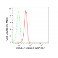 LifeSab™ KD-Validated DYNLL1 Rabbit mAb (20 μl)